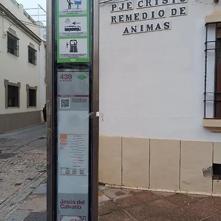 El Rincon De San Lorenzo. Casco Historico Cordoba. * Cordoba